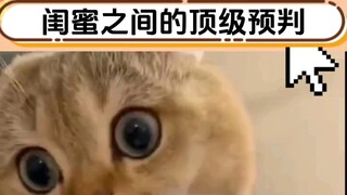 不愧是闺蜜之间的顶级预判