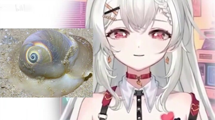 After being asked by the captain to send the photo privately, he never showed up again after receivi