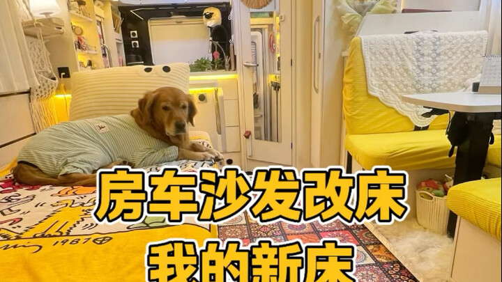 สร้างบ้านสักหน่อย o(∩_∩)o ผมเปลี่ยนโซฟาเป็นเตียงแล้วล่ะ