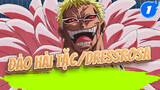 Cậu Và Lồng Chim Của Cậu Đang Cản Đường Tôi! Doflamingo /Dressrosa | One Piece/Dressrosa_1