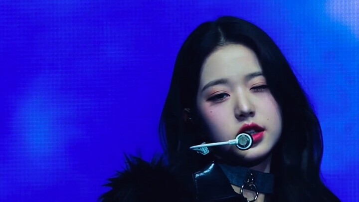 [Zhang Yuanying's Straight Shot] Blue Blood, you have a PhD in expression management, right?