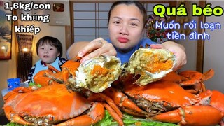 Ấm bộ đồ lòng mà rối lun cả não với mâm Cua Cà Mau siêu to ngập gạch #792