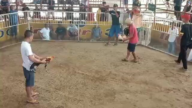 2x win grey Ang pogi Ng kalaban