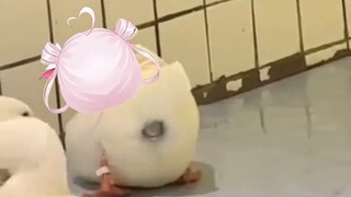 แม้ว่าคุณจะออกแรงแค่ไหน มันก็จะออกมา! - -