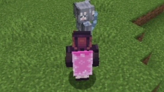 เมื่อคุณสามารถเสียบโมดูลแมวสาวที่ต่อปลายเทียนได้