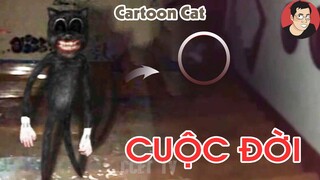 Con quỷ CARTOON CAT được sinh ra như thế nào? Câu chuyện có thật