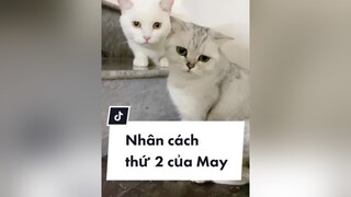 May đa nhân cách 😀 maly malyfamily xuhuong PhimHayMoiNgay