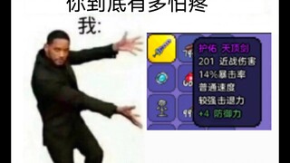 "الحماية، لا بد أن تكون حماية!" ————ميم Terraria المنزلي