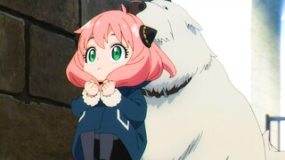 Ania: Convenient and easy to carry, daily bully Haw