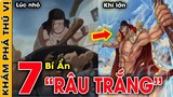 🔥7 Bí Ẩn Ly Kỳ Và Thú Vị Về Râu Trắng Người Đàn Ông Mạnh Nhất Thế Giới Trong One Piece | KPTV