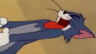 [Anime]Tuyển tập tiếng la hét của Tom|<Tom và Jerry>