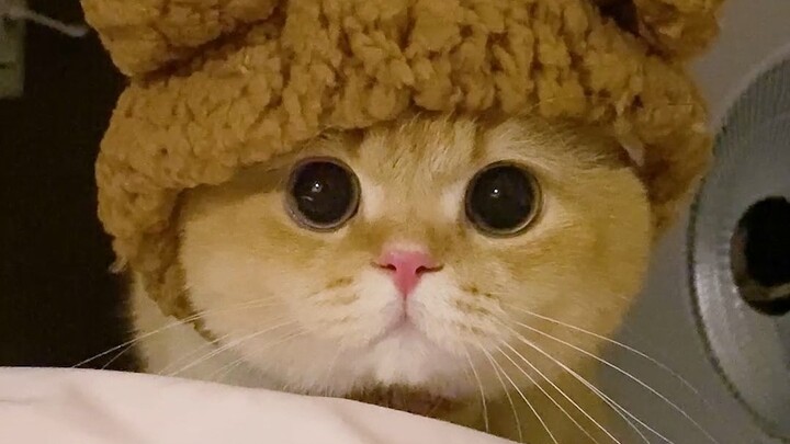 It's still dark, and my cat did this to me...