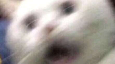 ความรู้สึกที่ฟ้าถล่มคือแบบไหนนะ?