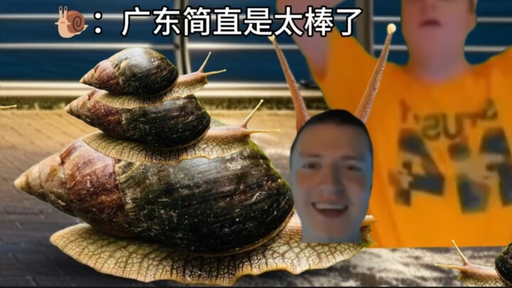 Thời tiết ở Quảng Đông gần đây (phần ốc sên châu Phi) là như thế này: