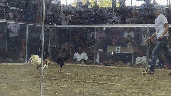 2hits victoria laguna. nov 15 2025