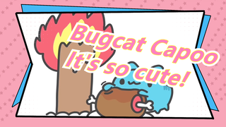 Bugcat Capoo |It's so cute!