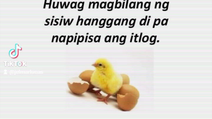 huwag magbilang ng sisiw hanggang di pa napipisa ang itlog.