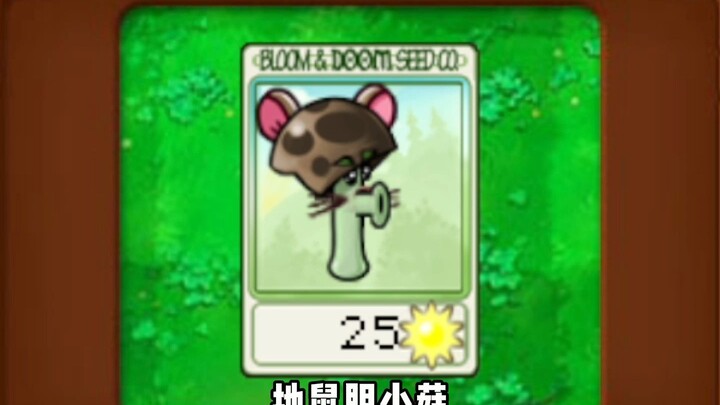 Chỉ có anh là Jerry thôi phải không?