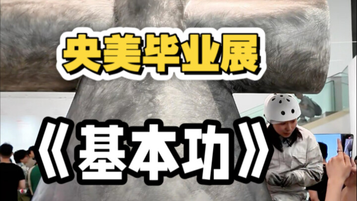 央美毕业展上的素描排线“基本功展示”