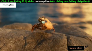 Tóm tắt phim Trên những con đường phép thuật 5 #phimhayreview