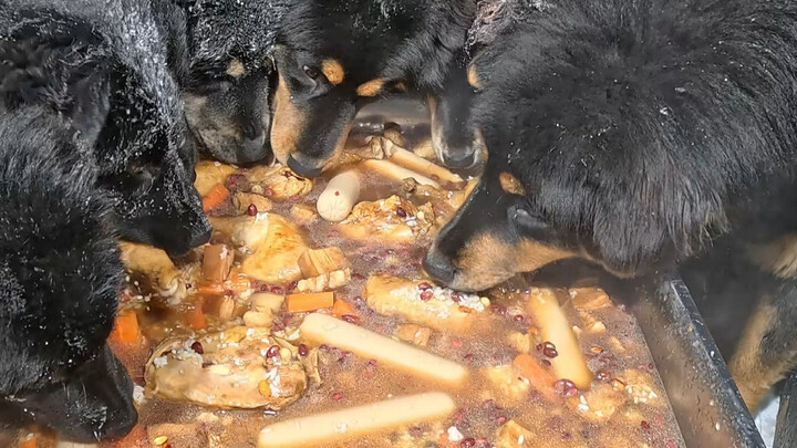 Menu makan siang tim keamanan peternakan terungkap hari ini: daging babi bumbu merah dengan beras Wu