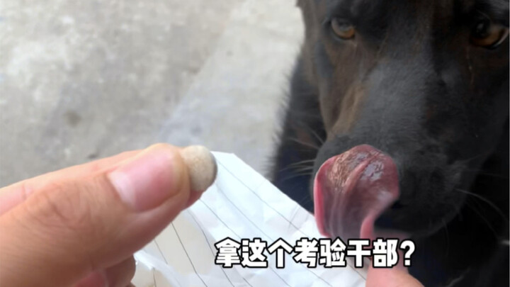 What exactly makes it so addictive! It's...