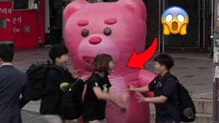 (Prank)GIANT BEAR PRANK เกาหลี!!! ปฏิกิริยาบ้าๆ บอๆ ต้องดู!!! เมียงดง
