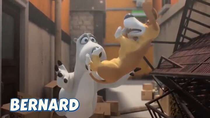 BERNARD BEAR || WHERE'S DOGGY - CARTOON CHILDREN