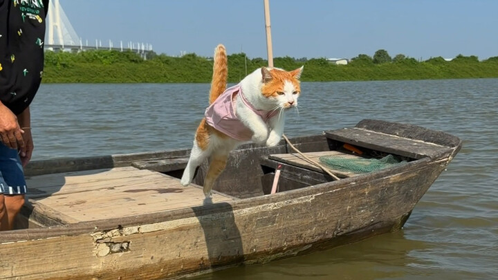 Coastal Indigenous Fisherman and Cat