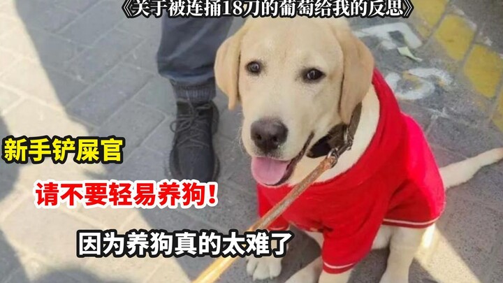 Ngay khoảnh khắc nhìn thấy tin nhắn riêng từ fan, lòng tôi chùng xuống, cảm giác thật buồn bã!