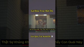 Những Quy Tắc Kinh Dị Trong Thế Giới Của Gã Đầu Trọc - Tập 30 💀 #shorts