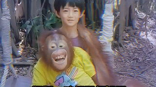 Gorilla: It's not for nothing at all. If you can't take photos at all, add another 200.