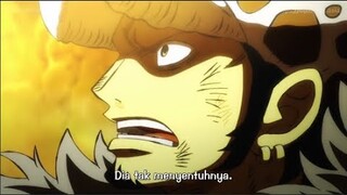 LAW SAMPAI TAKJUB ! Luffy Uppercut Kaido Sampai Pingsan | Review One Piece 1028