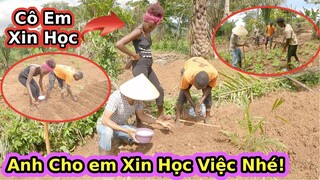Nhà Antonio trồng lạc thất bại vẫn có người tới học làm theo||2Q Vlogs cuộc sống châu phi