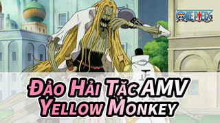 [Đảo Hải Tặc]Yellow Monkey: Have You Ever Feel the Power of Shining Kicking? / Beat Hòa Âm