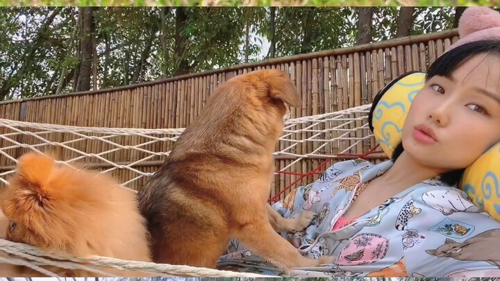 Hari-hari di rumah bersama si bulu-bulu, ayunan pun dipasang [Seri Kata Kunci Hangat _ Check-in]