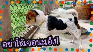 โลกของแสนดี ตอน ตามล่าหาตัวเห้