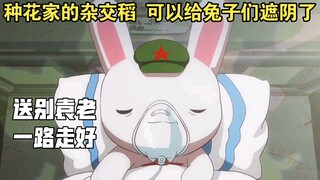 [那兔｜纪念袁老]“种花家的杂交稻，可以让兔子们吃饱了” 吃米不忘种稻人，国士无双！