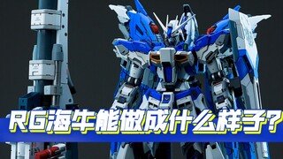 RG素组海牛 VS RGGK海牛 你选择哪个？