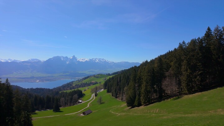 computer science students touching grass