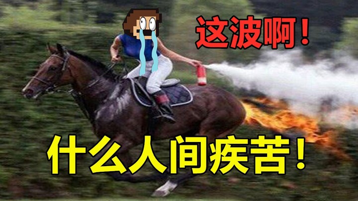 人类高质量陷阱，蚌埠住了哈哈哈哈！！！