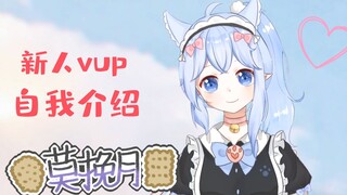 【自我介绍】新人喵娘莫挽月出道