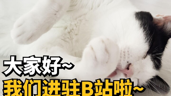 สวัสดีทุกคน เราได้เข้าร่วม Bilibili แล้ว!