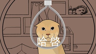 哈基米音乐 敬启