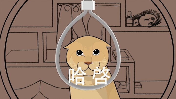 哈基米音乐 敬启