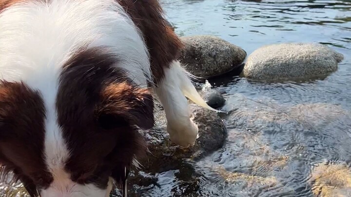Summer’s all about a little dip—feeling right at home!