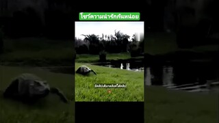 โชว์ความน่ารักกันหน่อย