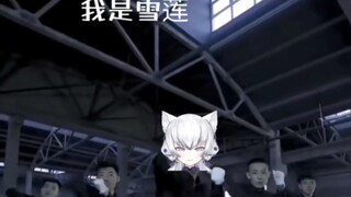 我是雪莲，不是罕见！