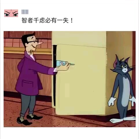 猫和老鼠