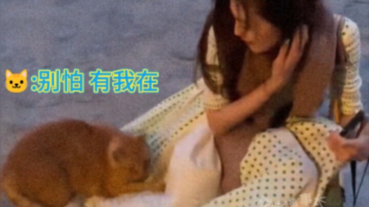 It’s not a cat—it’s an angel, isn’t it!